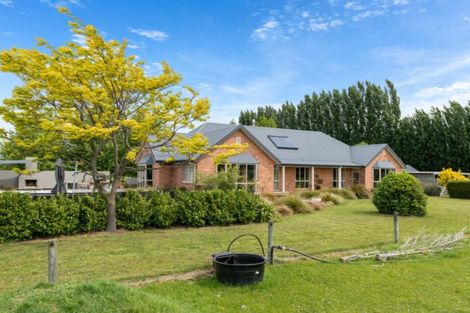 Photo of property in 58 David Street, Springlands, Blenheim, 7201