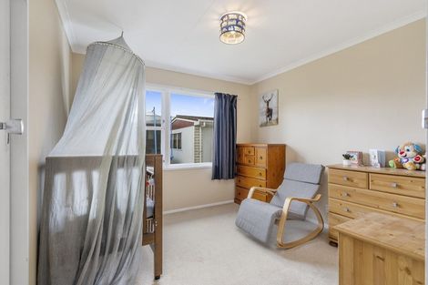 Photo of property in 25 Alexander Street, Awapuni, Palmerston North, 4412