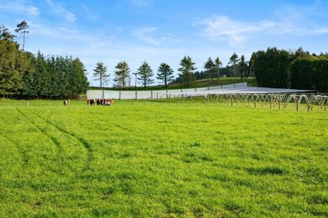 Photo of property in 348g Rea Road, Tahawai, Katikati, 3178