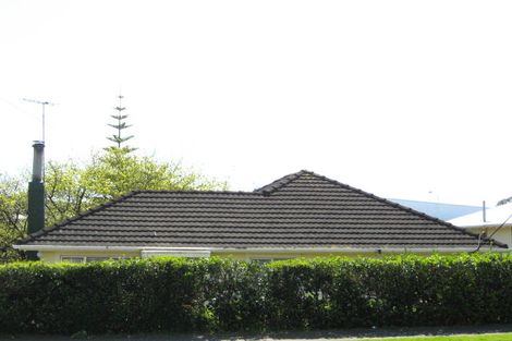 Photo of property in 107 Lemon Street, New Plymouth, 4312