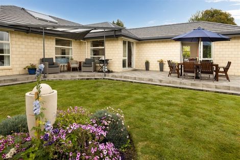 Photo of property in 217 Taylor Pass Road, Witherlea, Blenheim, 7201