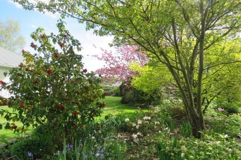 Photo of property in 4 George Street, Geraldine, 7930