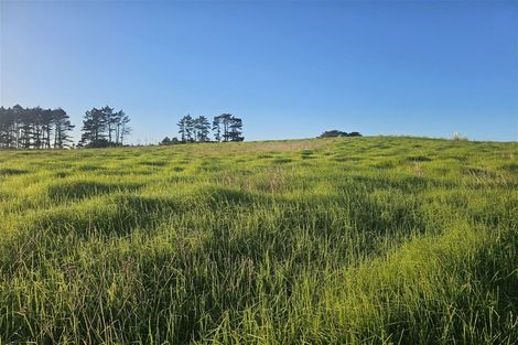 Photo of property in 47 Matahehe Lane, Tinopai, 0593