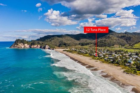 Photo of property in 12 Tuna Place, Whiritoa, Whangamata, 3691