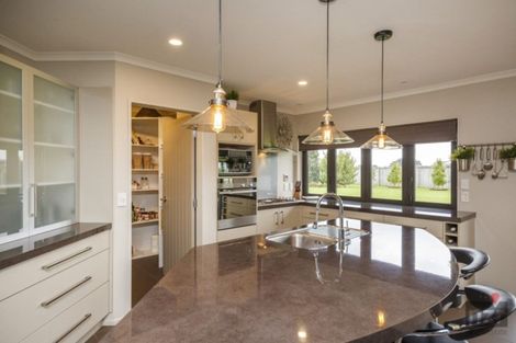 Photo of property in 92 Mount Taylor Drive, Feilding, 4775