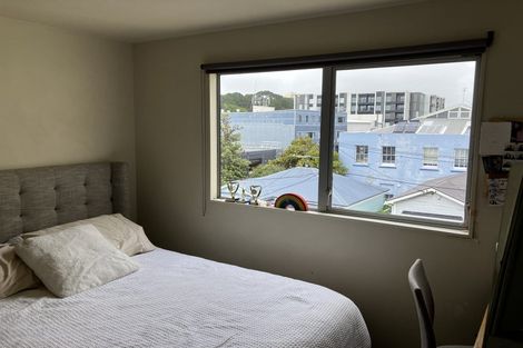 Photo of property in 11 Douglas Street, Mount Cook, Wellington, 6021