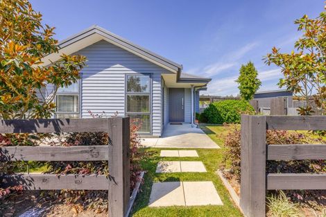 Photo of property in 20 Dee Street, Otane, 4202