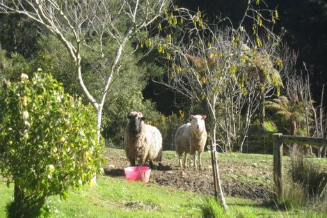 Photo of property in 88 Clifton Road, Kaiata, Greymouth, 7805