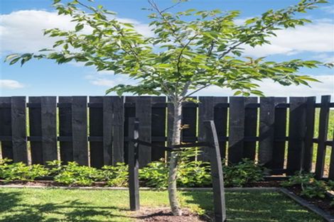 Photo of property in 132 Rimu Street, Te Kauwhata, 3710