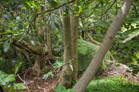 Photo of property in 21 Brooke Road, Red Hill, Papakura, 2110