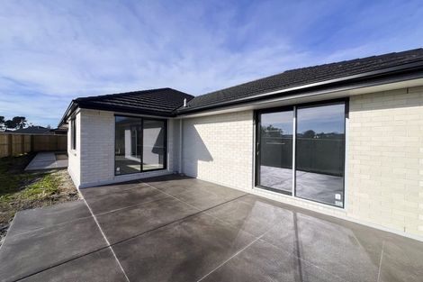 Photo of property in 17 Akau Place, Bromley, Christchurch, 8062