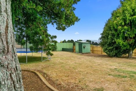 Photo of property in 17 Pirongia Road, Te Awamutu, 3800