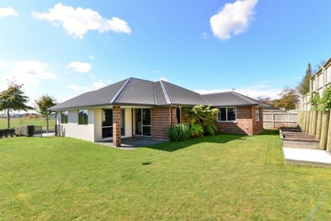 Photo of property in 3 Meadowfield Street, Flagstaff, Hamilton, 3210