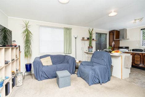 Photo of property in 114 Lewis Street, Glenview, Hamilton, 3206