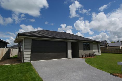 Photo of property in 7 Loftus Place, Flagstaff, Hamilton, 3210