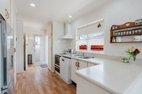 Photo of property in 19 Laurence Street, Queenwood, Hamilton, 3210