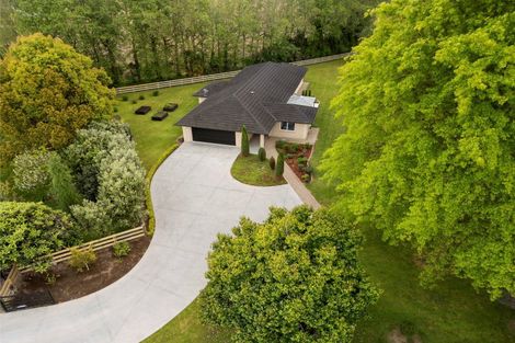 Photo of property in 29 Sheffield Street, Matamata, 3400