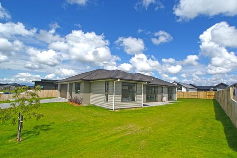 Photo of property in 7 Loftus Place, Flagstaff, Hamilton, 3210