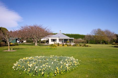 Photo of property in 521 Pohangina Road, Pohangina, Ashhurst, 4884