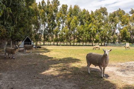 Photo of property in 57 Hardings Road, Riverlands, Blenheim, 7274