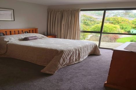 Photo of property in 214a Forbury Road, Saint Clair, Dunedin, 9012