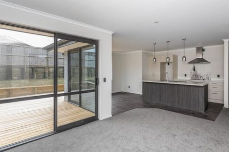Photo of property in 17 Ribbonwood Close, Te Kauwhata, 3710