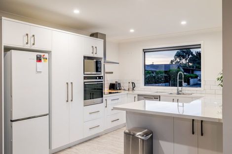 Photo of property in 12 Peckham Lane, Ashhurst, 4810