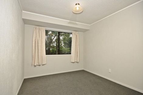 Photo of property in 269a Clarkin Road, Fairfield, Hamilton, 3214