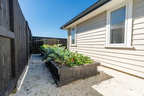 Photo of property in 25 Avian Place, Flagstaff, Hamilton, 3210