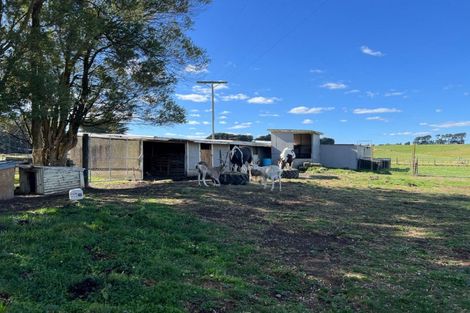 Photo of property in 141 Valley Road, Woodville, 4998