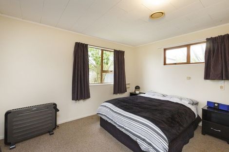 Photo of property in 168 Stanford Street North, Ashhurst, 4810