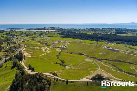 Photo of property in 36 Tirohanga Moana Way, Tasman, 7175
