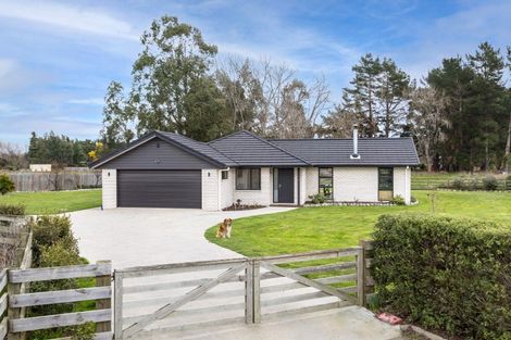 Photo of property in 474c High Street South, Carterton, 5713