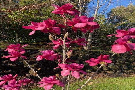 Photo of property in 35 Davis Strongman Place, Kerikeri, 0293