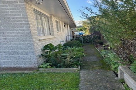 Photo of property in 48 Kings Crescent, Hutt Central, Lower Hutt, 5010