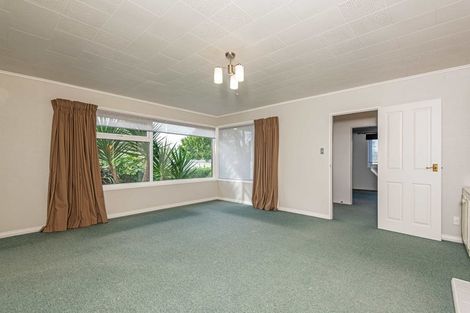 Photo of property in 95 Dittmer Drive, West End, Palmerston North, 4412
