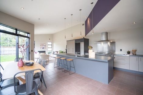 Photo of property in 430 College Street, Hokowhitu, Palmerston North, 4410