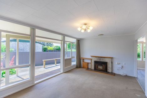 Photo of property in 113 Tavistock Road, Waipukurau, 4200