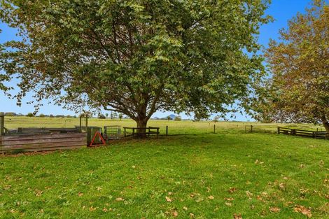Photo of property in 253a East Bank Road, Edgecumbe, Whakatane, 3193