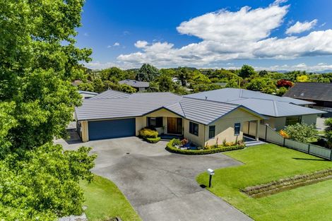 Photo of property in 17 Napier Street, Jervoistown, Napier, 4112