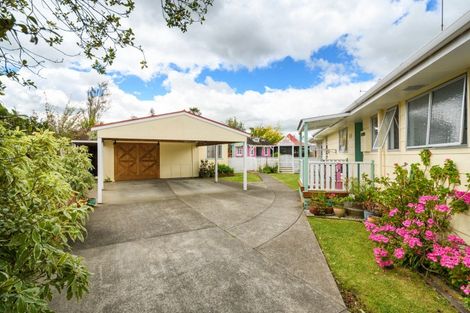 Photo of property in 22 Beaven Street, Marton, 4710