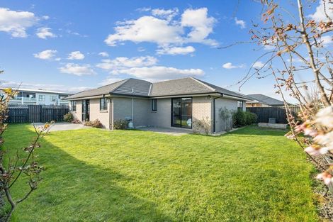 Photo of property in 191 Kittyhawk Avenue, Wigram, Christchurch, 8042