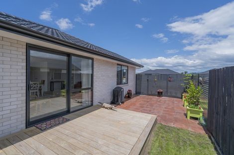 Photo of property in 8 Palm Drive, Whitianga, 3510