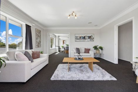 Photo of property in 15 Sholson Street, Putaruru, 3411