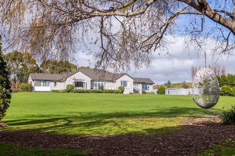 Photo of property in 1a Tudor Road, Pahiatua, 4910