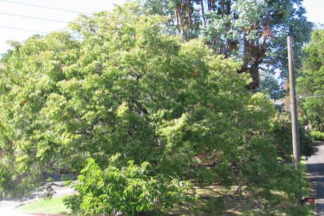 Photo of property in 77 Methuen Road, New Windsor, Auckland, 0600