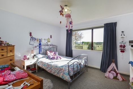 Photo of property in 136 Pharazyn Road, Feilding, 4777