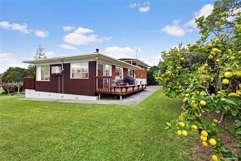 Photo of property in 46 Miltonia Avenue, Te Atatu South, Auckland, 0610