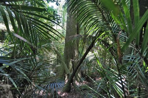 Photo of property in 92 Waipa Heights Road, Ngaruawahia, 3793