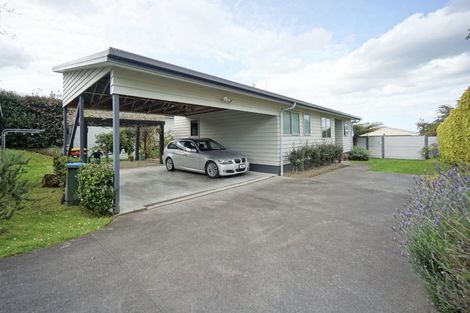 Photo of property in 38 Boucher Avenue, Te Puke, 3119